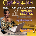 6 Week Elevation