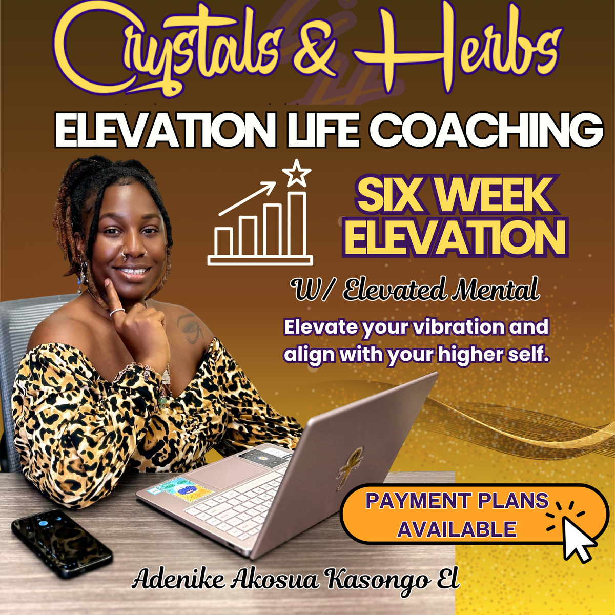 6 Week Elevation