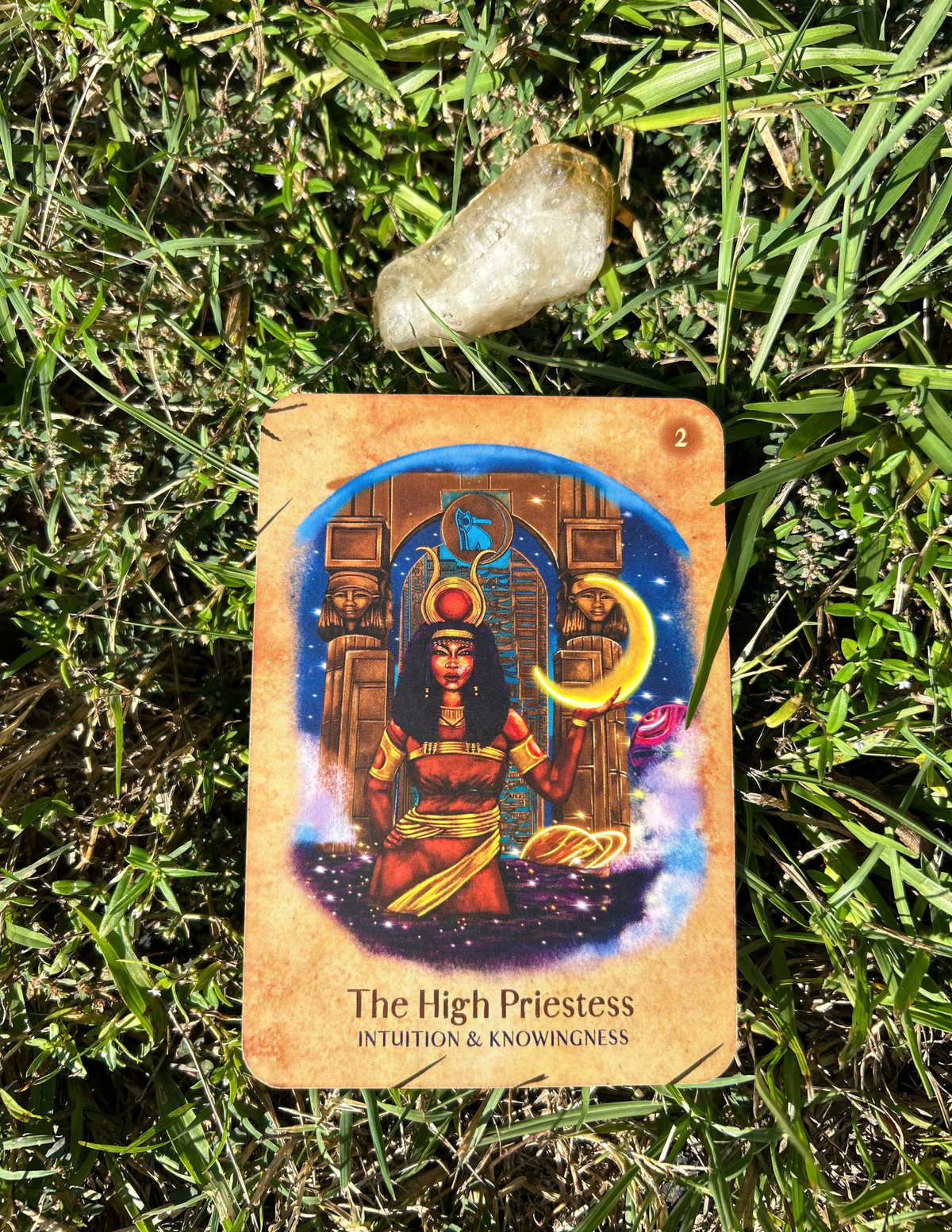 15 Minute Mini-Reading